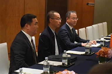 Shanghai FengLing Renewables Meet Serbian Prime Minister Ana Brnabic in Shanghai